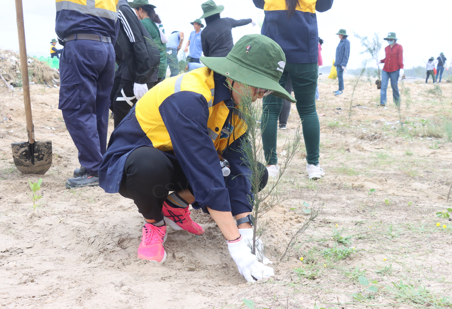 CSVC COLLABORATES WITH TRADE UNION  DONATING 1000 TREES TO PARTICIPATE IN THE PROGRAM UNITED STRENGTH, GREENING THE FUTURE HOSTED BY NS BLUESCOPE CO., LTD